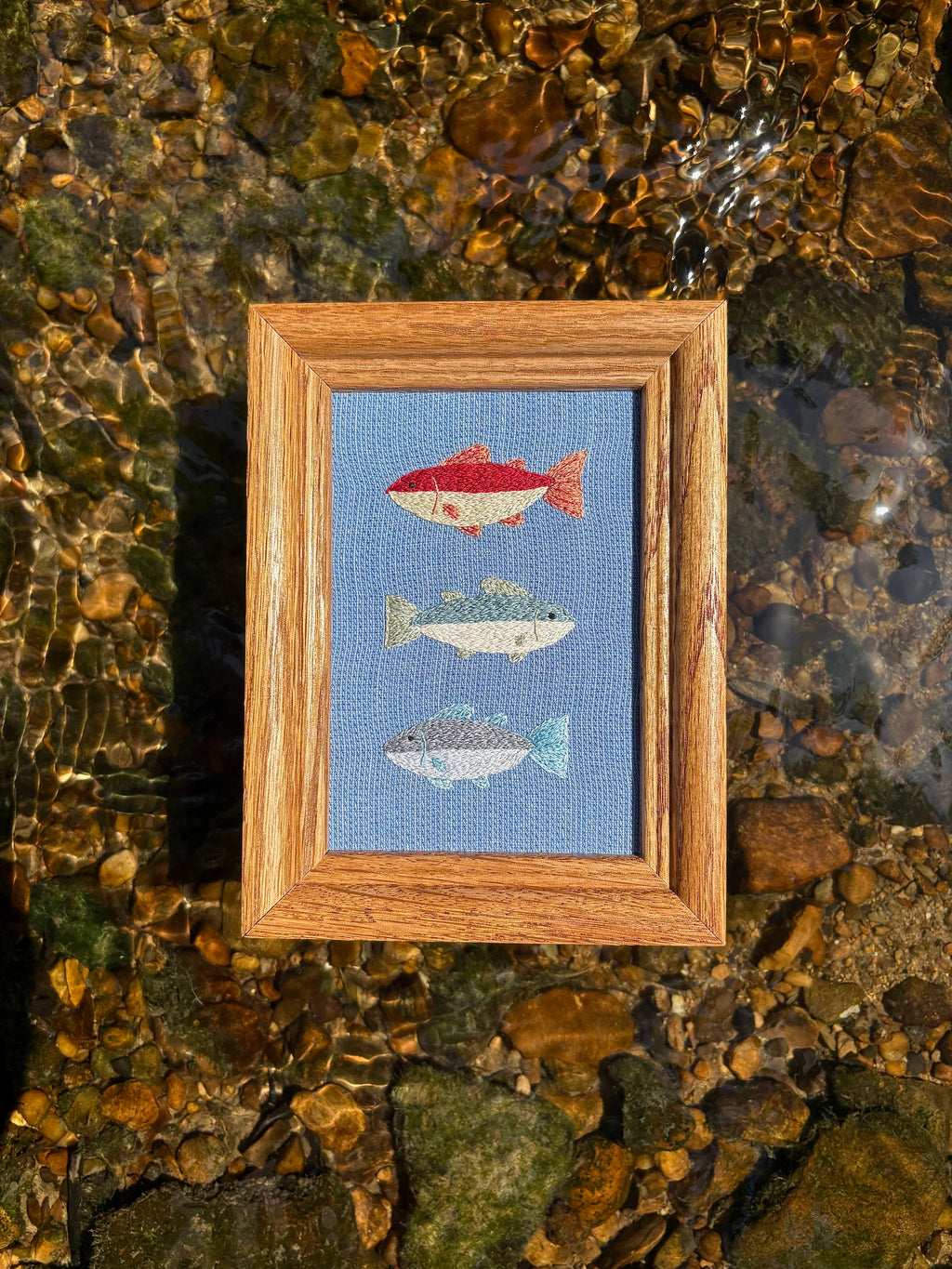 Upcycled Framed Embroidery: 3 fishy friends