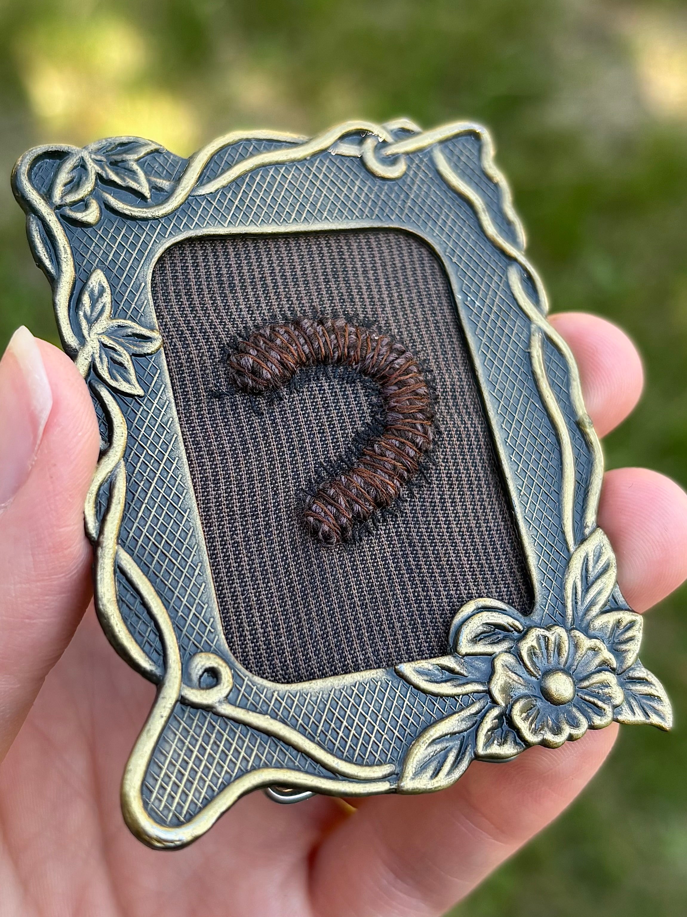 Upcycled Framed Embroidery: Millipede!