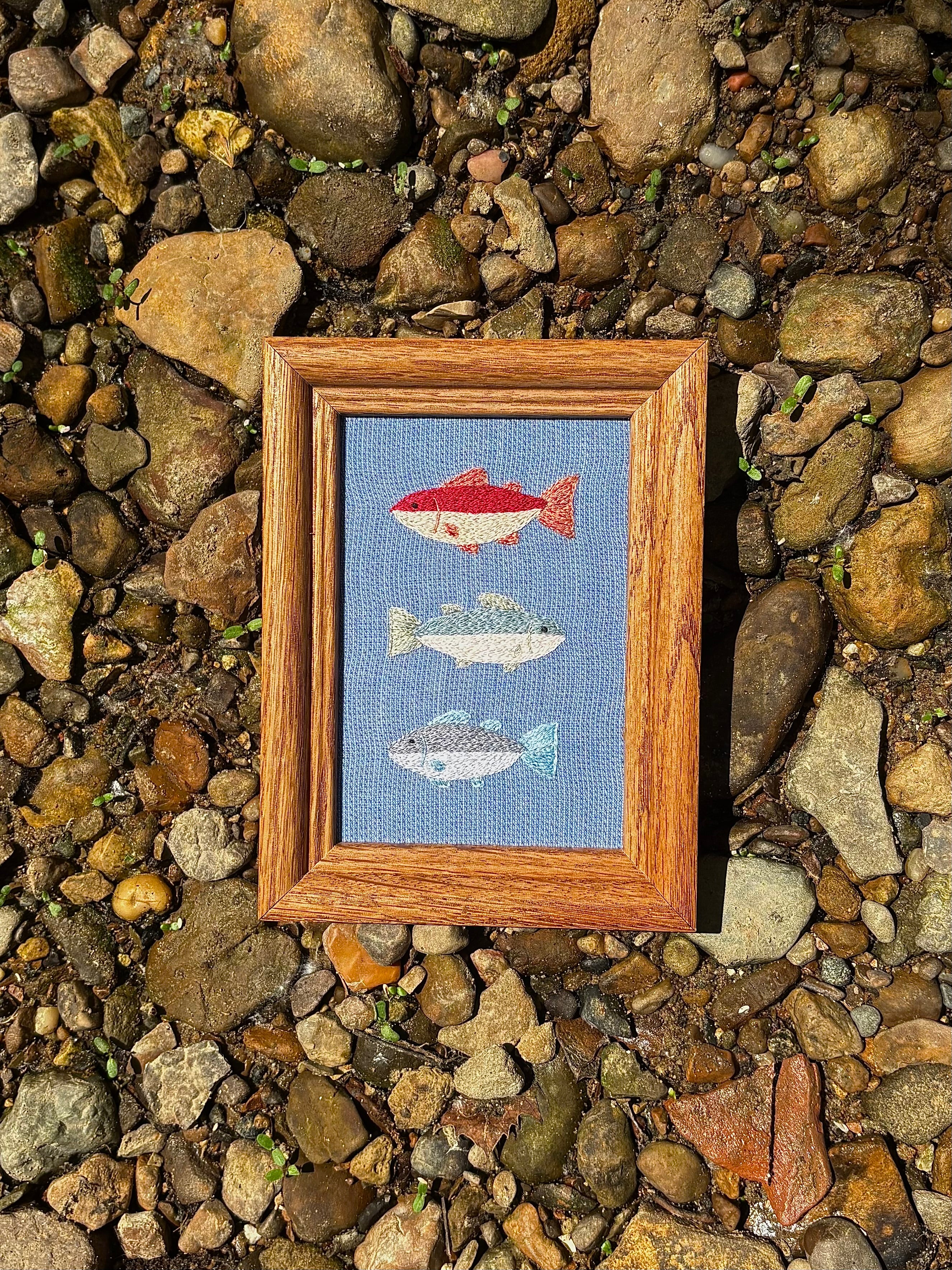 Upcycled Framed Embroidery: 3 fishy friends