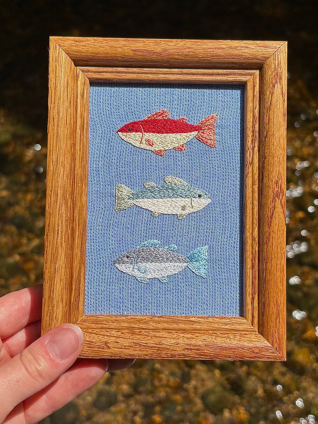 Upcycled Framed Embroidery: 3 fishy friends