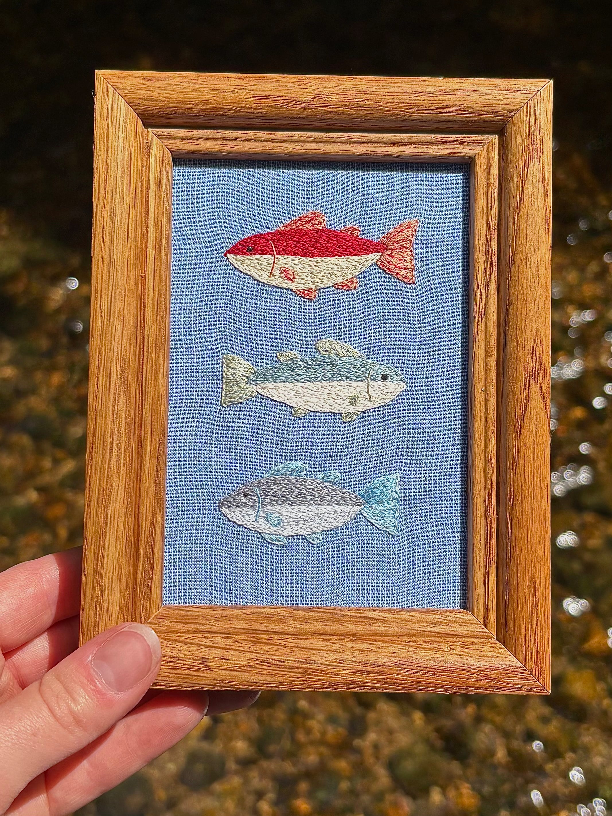 Upcycled Framed Embroidery: 3 fishy friends